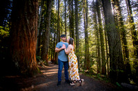 Shawna and Dustyn Engagement
